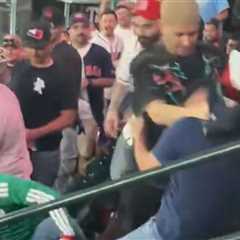 Brawl Breaks Out In Stands During USA Vs. Mexico World Baseball Classic Game