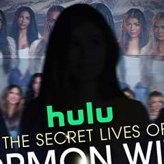 'The Secret Lives of Mormon Wives' Fate Is in Limbo