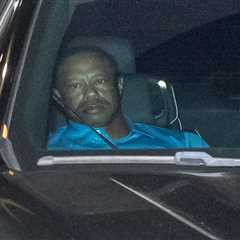 Tiger Woods released from Florida jail hours after car crash, DUI bust