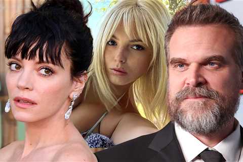 Woman Linked to David Harbour Asked to Leave Lily Allen Producer's Party