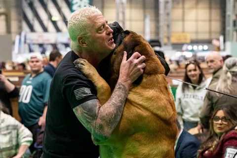 Pro wrestler Dustin Rhodes’ mastiff takes home prize at world’s largest dog show