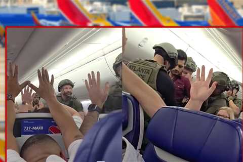 Southwest Flight Boarded by Cops with Guns Drawn, Video