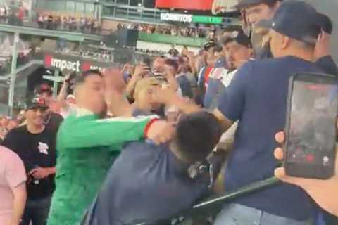USA, Mexico fans get in wild fistfight in stands at World Baseball Classic
