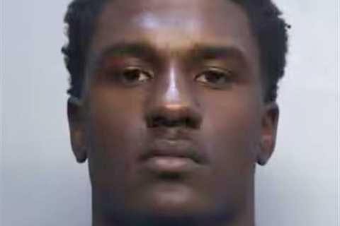 Falcons’ James Pearce Jr. facing three felony charges in battery incident with WNBA star