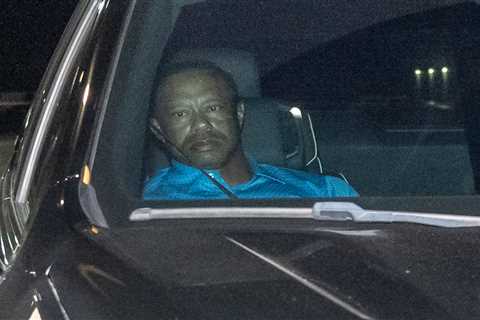 Tiger Woods released from Florida jail hours after car crash, DUI bust