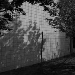 “In Plain Sight” by Photographer Britt Lucas Bennett