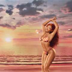 Megan Thee Stallion Releases Second Hot Girl Summer Swimwear Collection for Men, Women & Pets
