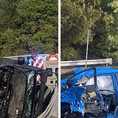 Dianna Russini Rescues Elderly Man and His Dog From a Car Crash