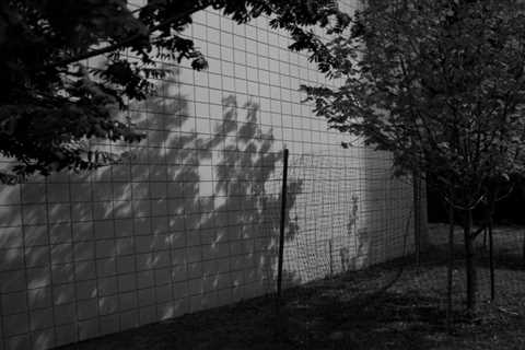 “In Plain Sight” by Photographer Britt Lucas Bennett
