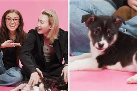 Anna Cathcart And Sang Heon Lee Answer A Bunch Of XO, Kitty Questions, And More, While Playing With ..