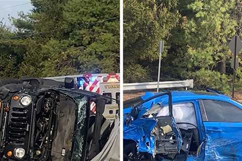 Dianna Russini Rescues Elderly Man and His Dog From a Car Crash