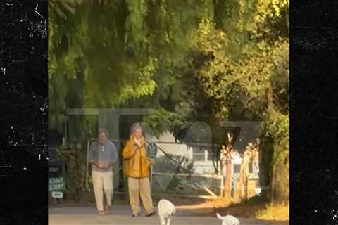 'Baywatch' Star David Charvet Says Video Shows Dogs Off Leash After Fatal Hit
