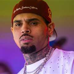 Chris Brown’s Ex-Housekeeper Fighting To Show Horrific Dog Attack Photos in Court
