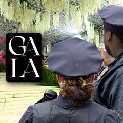 Met Gala Red Carpet Protest Attempt Foiled, On Video