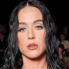 Katy Perry's Team Wants Disabled Vet To Cough Up $5 Million in Court Battle