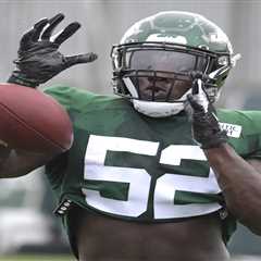 Ex-Jets linebacker Anthony Wint will fight in Contender Series in hopes of earning UFC contract