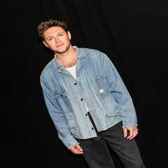 Here’s How Niall Horan Reacted When Asked If He’s Attending Harry Styles & Zoe Kravitz’s Wedding