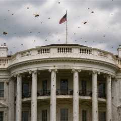 White House Overrun by Huge Swarm of Bees, Video Shows