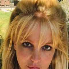 Britney Spears Allegedly Told Cops She Took Adderall, Prozac on Day of DUI Arrest