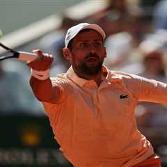 Novak Djokovic vs. Joao Fonseca prediction: French Open odds, picks, best bet, preview