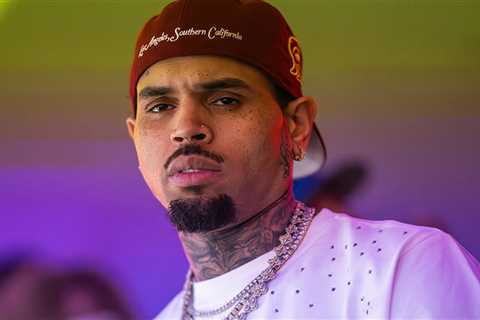 Chris Brown’s Ex-Housekeeper Fighting To Show Horrific Dog Attack Photos in Court