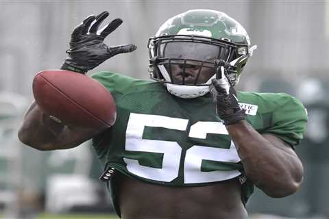 Ex-Jets linebacker Anthony Wint will fight in Contender Series in hopes of earning UFC contract