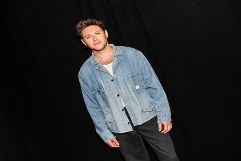 Here’s How Niall Horan Reacted When Asked If He’s Attending Harry Styles & Zoe Kravitz’s Wedding