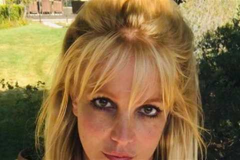 Britney Spears Allegedly Told Cops She Took Adderall, Prozac on Day of DUI Arrest
