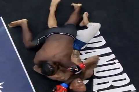 Lance Stephenson chokes out Michael Beasley in first round of  wild MMA fight between ex-NBA..