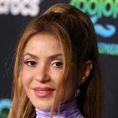 Shakira Says 'Life is a Bitch' After Court Drama, Split