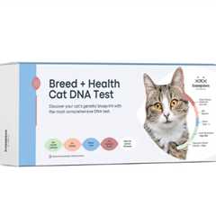 The Rise of Pet Personalization: Cat DNA and the New Luxury Pet Culture