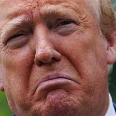 Donald Trump Has Been Losing A LOT Lately, And You Know What, Sometimes It's Just Nice To Hear..