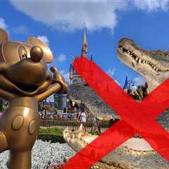 414 Alligators Removed From Disney World Since Toddler's Tragic Death