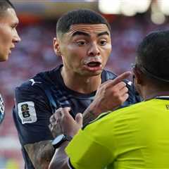 World Cup announcer loses media credential over wild red card rant: ‘They’re killing football’