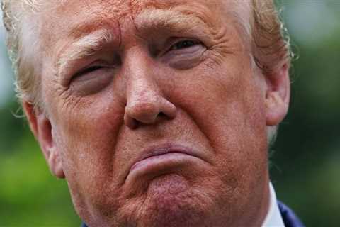 Donald Trump Has Been Losing A LOT Lately, And You Know What, Sometimes It's Just Nice To Hear..