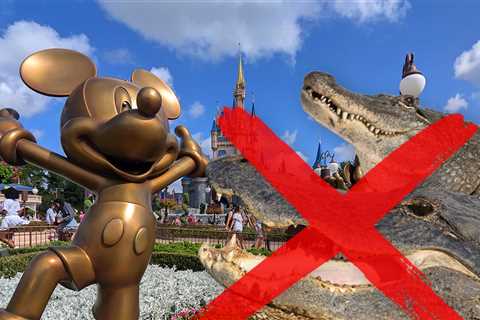 414 Alligators Removed From Disney World Since Toddler's Tragic Death