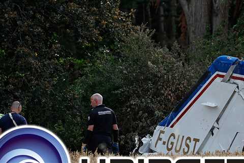 Ubisoft Co-Founder Claude Guillemot Killed in Plane Crash