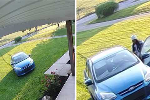 Amazon Delivery Person Drives Car Over Front Lawn to Deliver Package, On Video