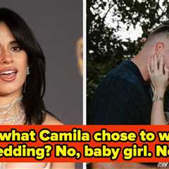 Who Wears A Naked Dress To A Wedding: Camila Cabello's See-Through Look At Taylor Swift's Wedding..