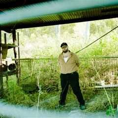 ‘I’ve Got It So Good’: How Australian Country Artist Brad Cox Is Living His Best Life