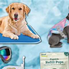Summer Pet Essentials on Amazon