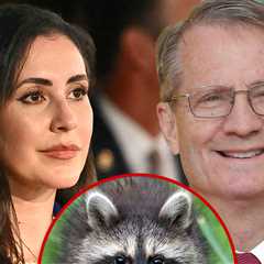 Jimothy the Raccoon Gets Support From Members of Congress Demanding Seattle Protect Him