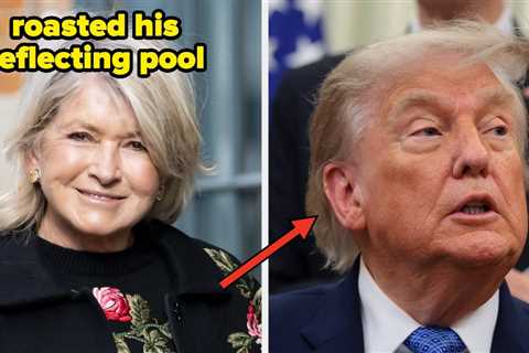 Martha Stewart Roasted Trump's Reflecting Pool And 7 Other Hilarious Posts From June