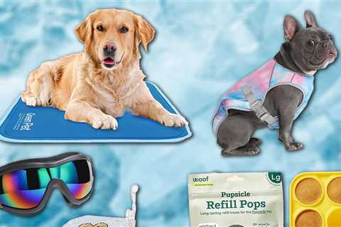 Summer Pet Essentials on Amazon