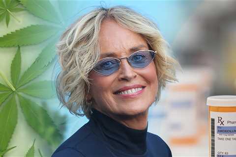 Sharon Stone Says She Quit Smoking Marijuana, Stopped Taking Stroke Medication