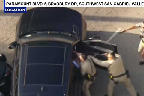 Wild Video Shows Murder Suspect Crashing Car Following High-Speed Chase in L.A.