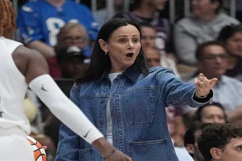 Tempo veteran supports Sandy Brondello after ‘laughable’ suspension for ‘species’ comment toward..