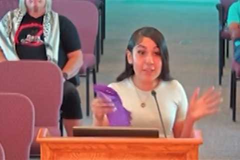 California High School Student Rails Against Planned Data Center In City Council Rant