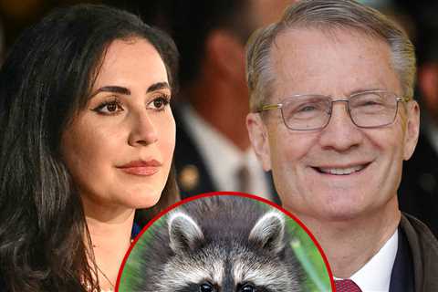 Jimothy the Raccoon Gets Support From Members of Congress Demanding Seattle Protect Him