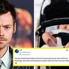 Harry Styles Literally Had To Tell A Fan To Grab Their Baby’s Stroller As It Rolled Into Oncoming..